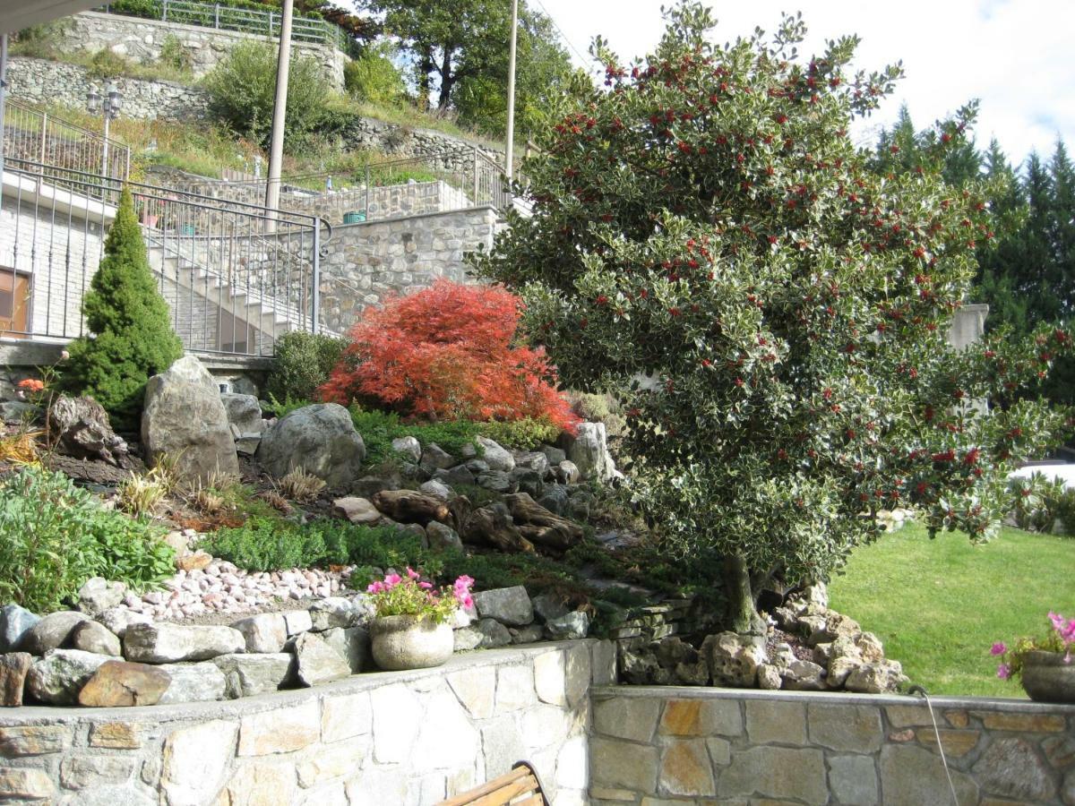 Bioula Cir N 0247 * Aosta